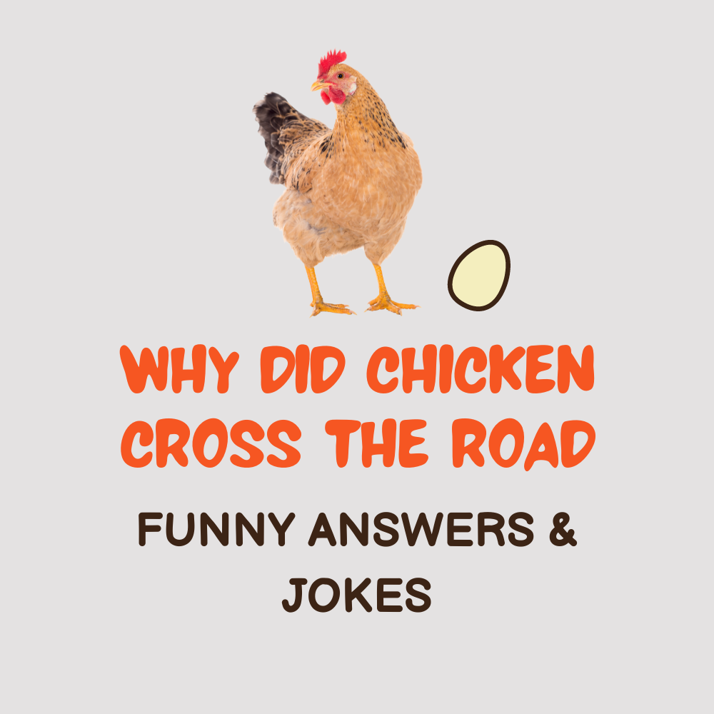  Funny Why Did the Chicken Cross the Road Answers & Jokes